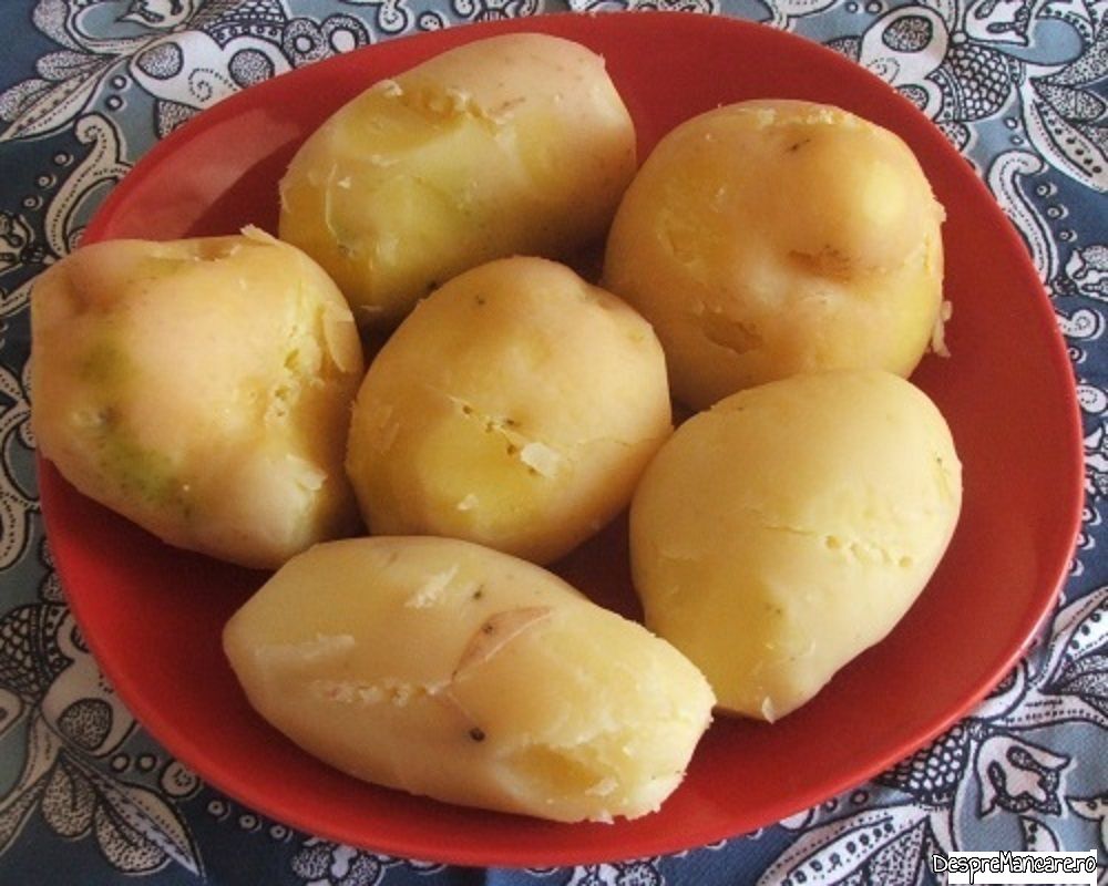 cartofi gratinati 3 Copy