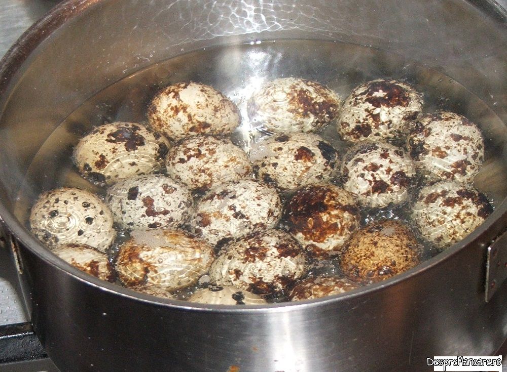 oua de prepelita in guguloi de carne tocata 4