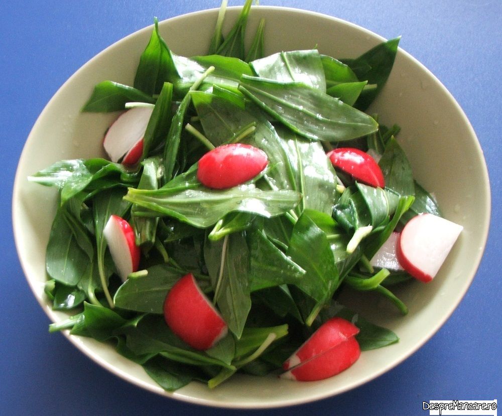 salata de leurda