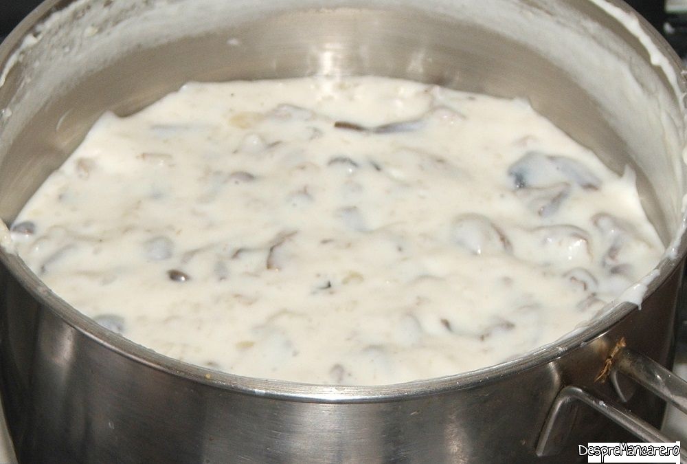 ciulama de ghebe 8