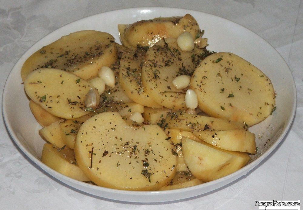 pastrama de ied cu cartofi la gril (5)