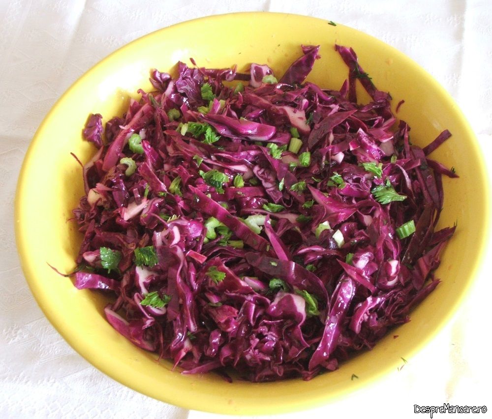salata de varza rosie Copy