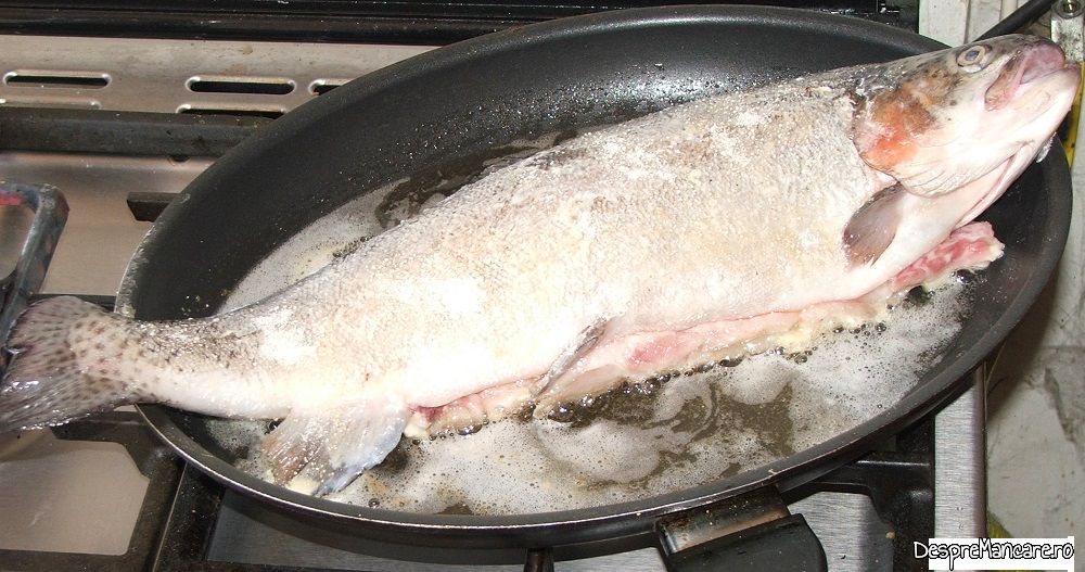 pastrav somonat prajit cu pane' uri de pleorotus (1)