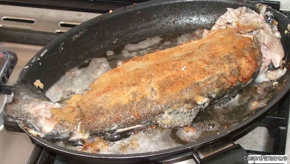 pastrav somonat prajit cu pane' uri de pleorotus (4)