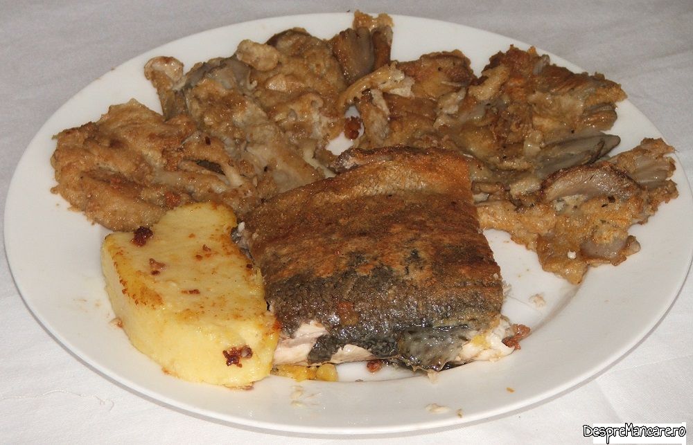 pastrav somonat prajit cu pane' uri de pleorotus (6)
