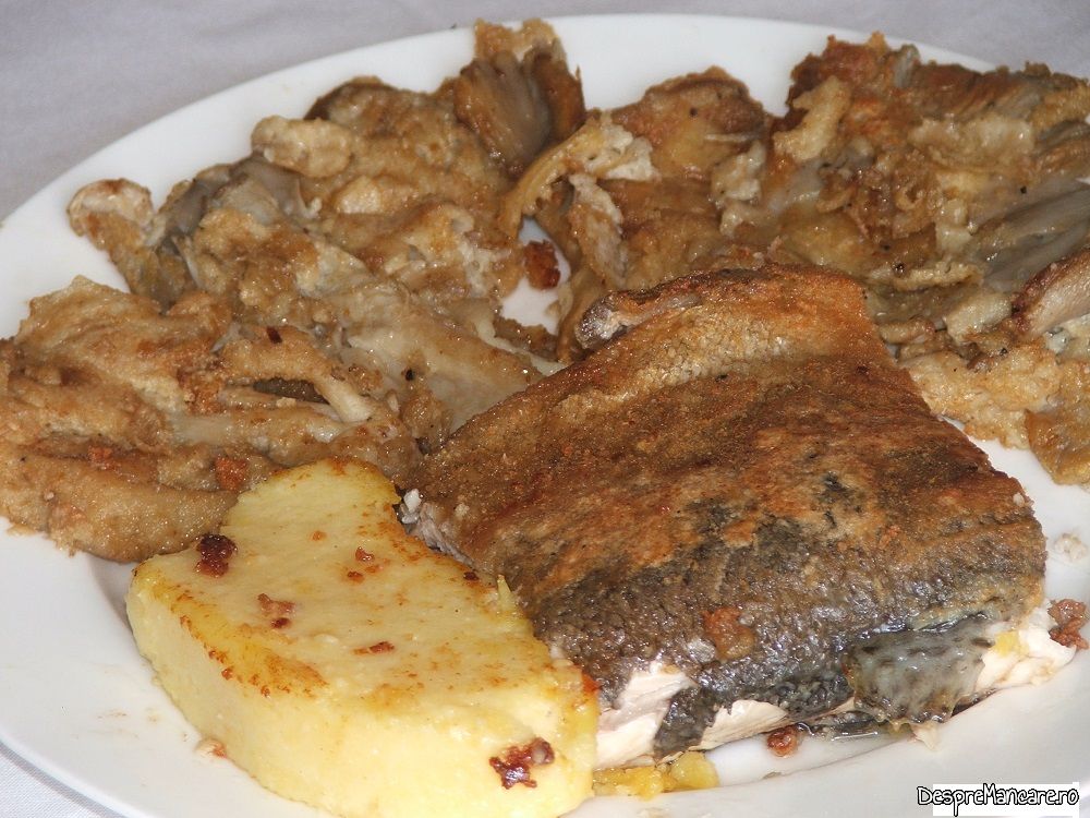 pastrav somonat prajit cu pane' uri de pleorotus (7)