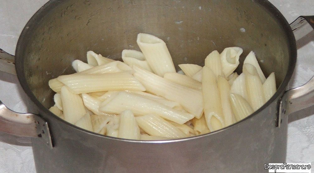 pene cu sos de ardei copt si rosii (3)
