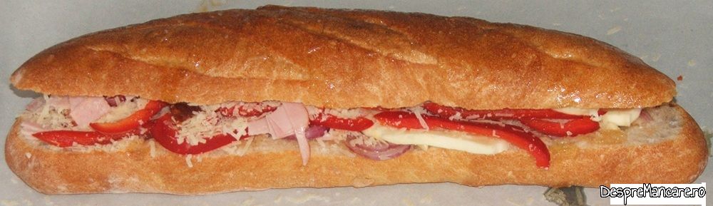 franzela umpluta cu de toate (11)