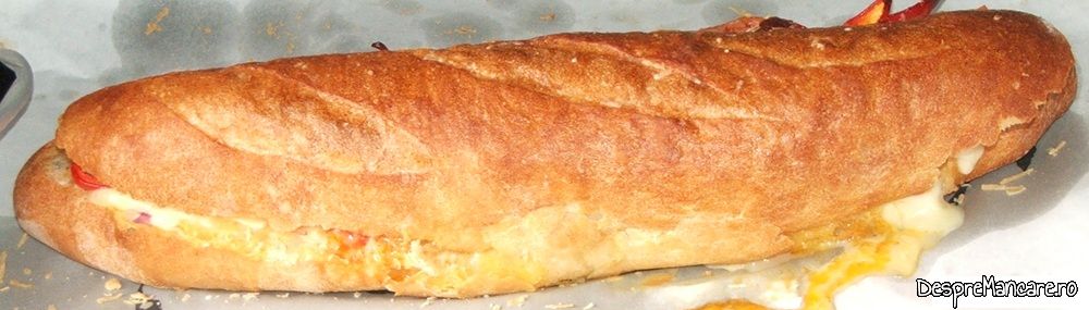 franzela umpluta cu de toate (12)