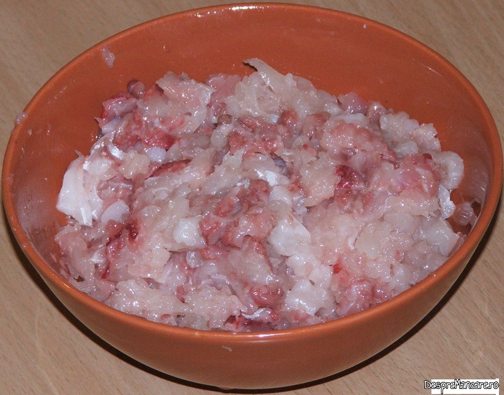 praz umplut cu carne tocata de peste (3)