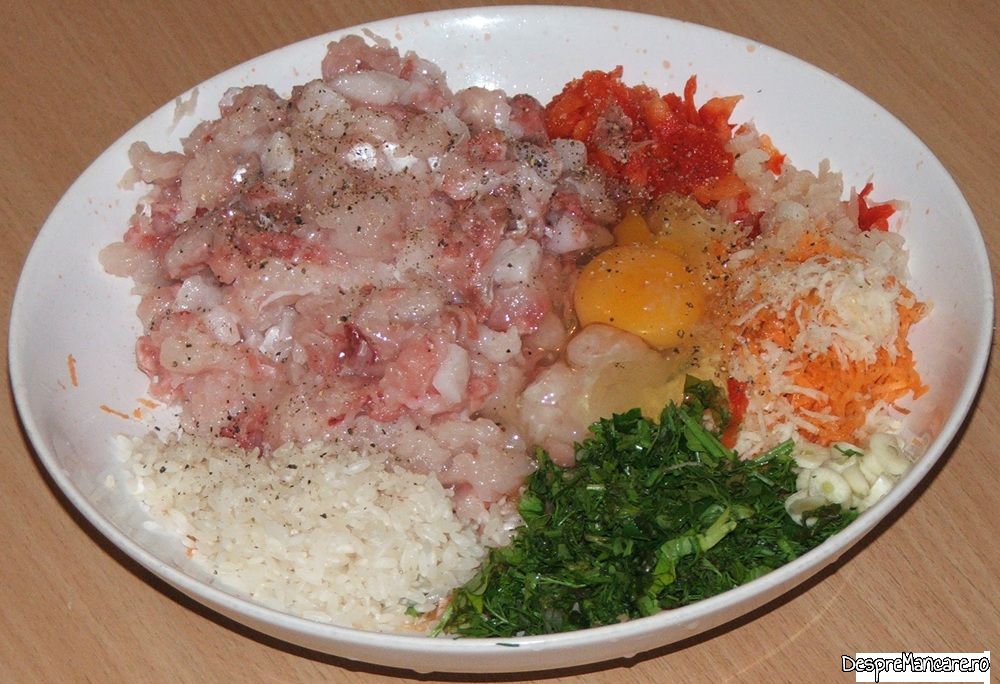 praz umplut cu carne tocata de peste (5)