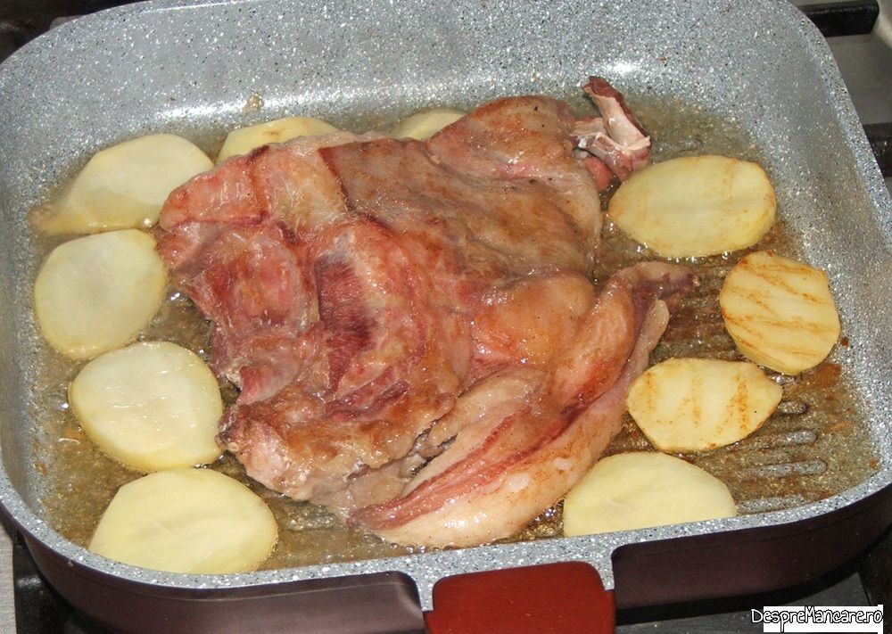 pastrama de miel cu cartofi la tigaia gril (5)