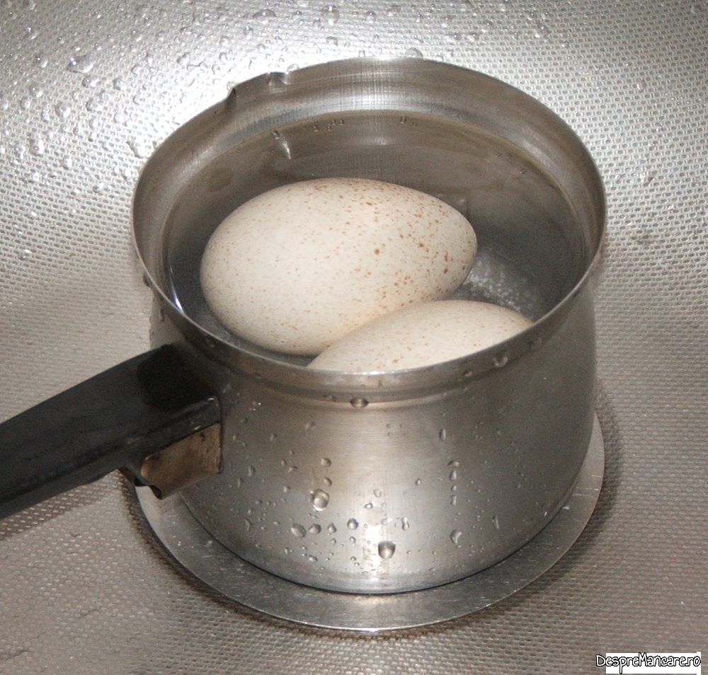 pastrama de oaie cu mamaliga si ou de curca (3)