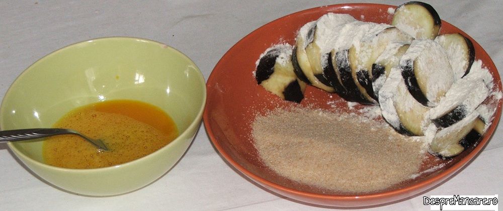 festin cu vinete pane', salata de vinete cu mujdei si sandvis cu ciuperci sitachi (3)