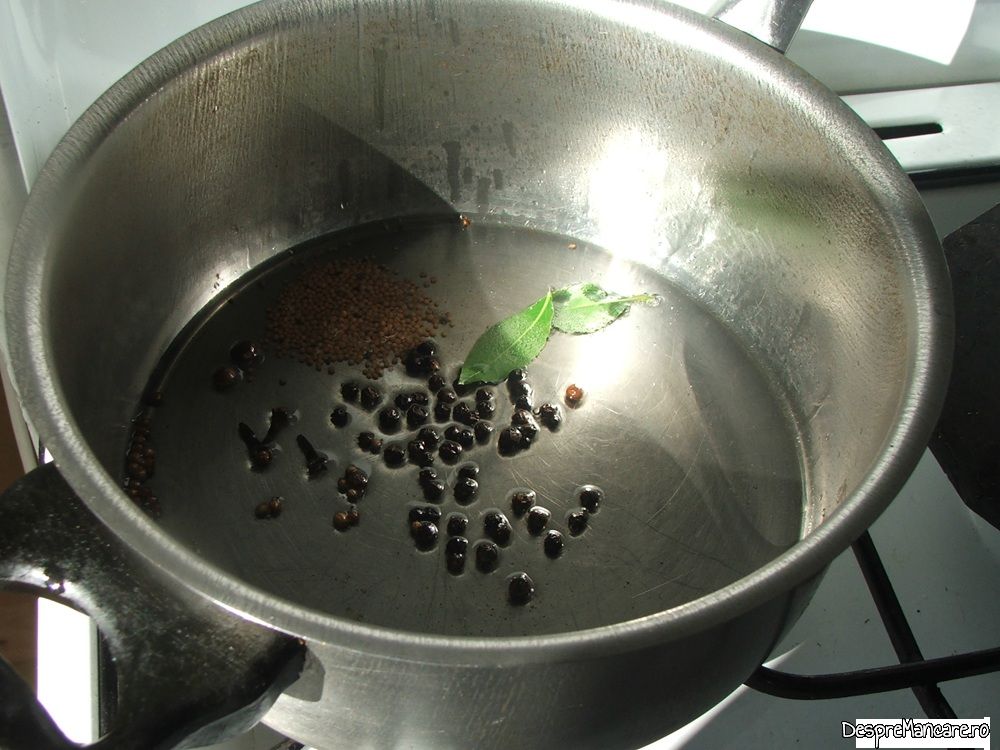 pulpa de vitel inabusita in vin cu legume si condimente (2) Copy