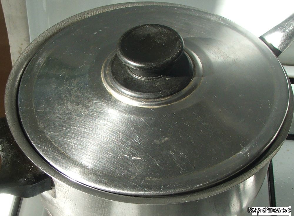pulpa de vitel inabusita in vin cu legume si condimente (6) Copy