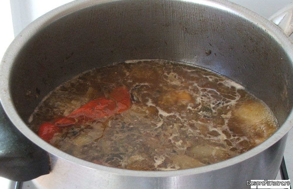 pulpa de vitel inabusita in vin cu legume si condimente (9) Copy