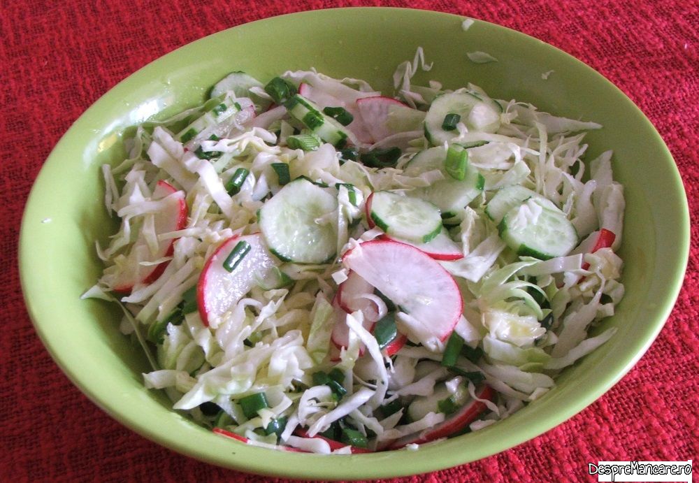 salata de varza noua, cu castraveti si ridichi Copy