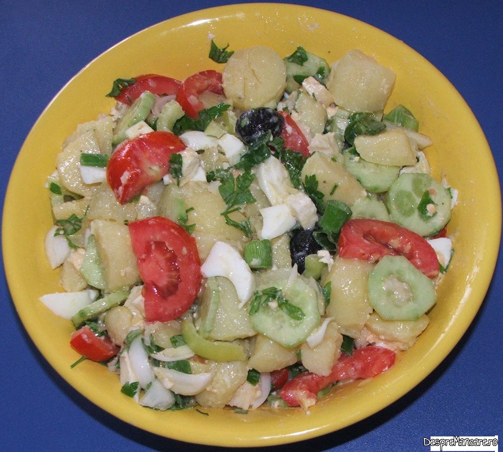 salata orientala, de vara Copy