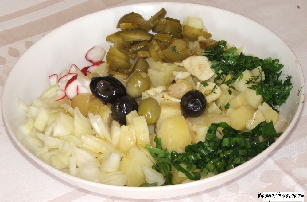 salata orientala din batrani (2)