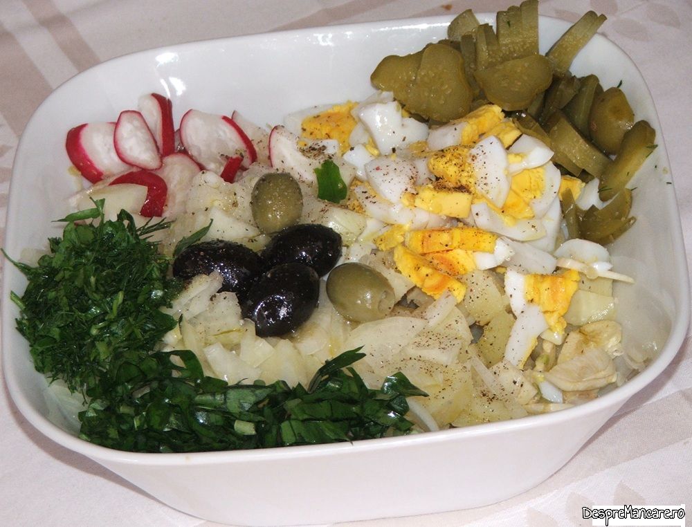 salata orientala din batrani (4)