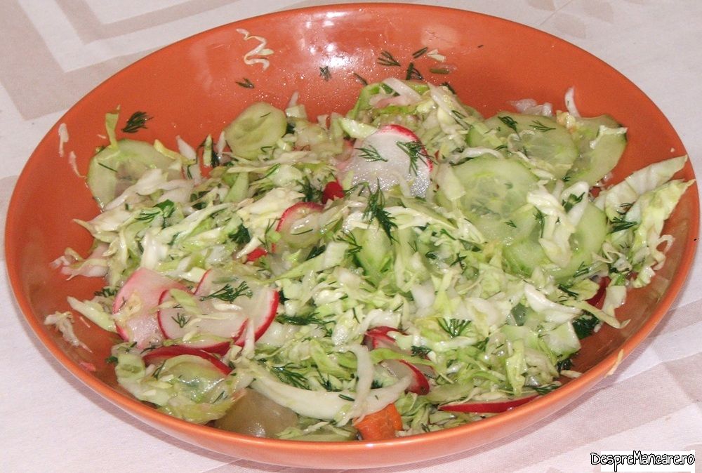 salata orientala din batrani (6)