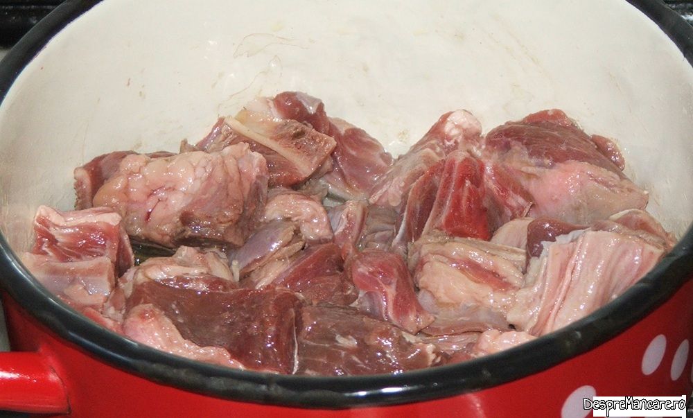 stufat de miel cu ciuperci de plop (2)