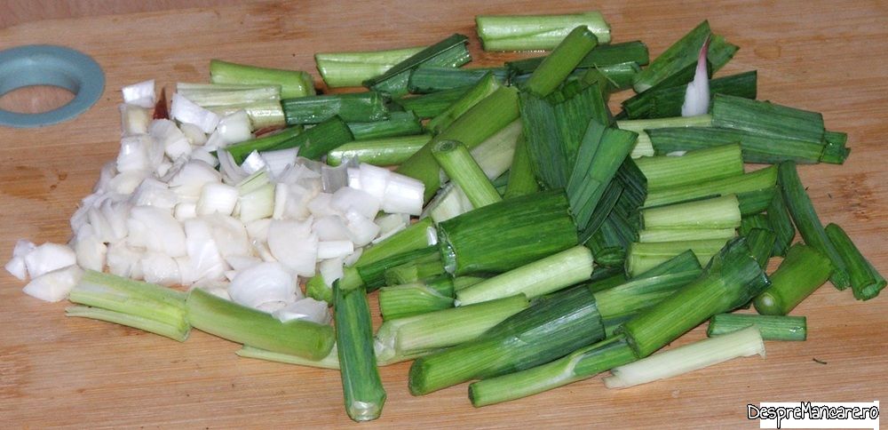 stufat de miel cu ciuperci de plop (3)