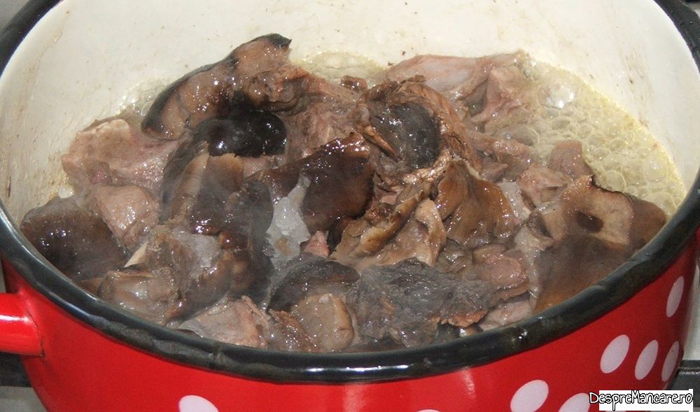 stufat de miel cu ciuperci de plop (4)