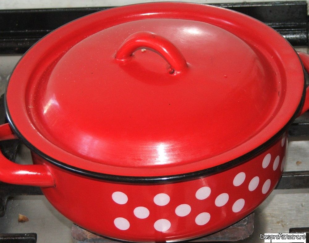 stufat de miel cu ciuperci de plop (5)