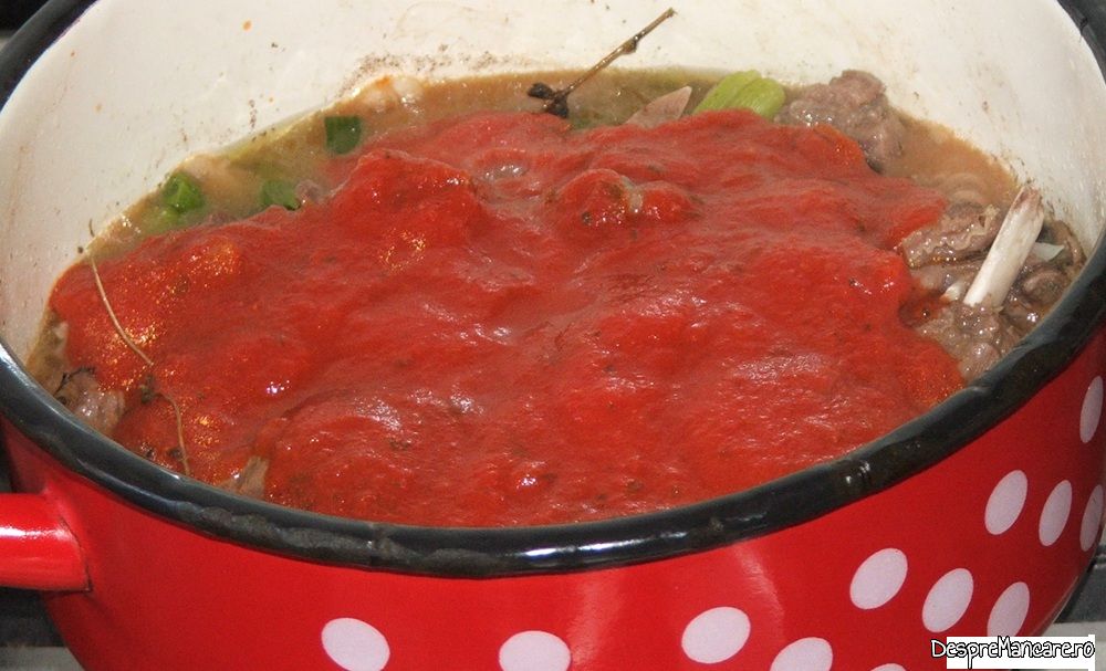 stufat de miel cu ciuperci de plop (7)