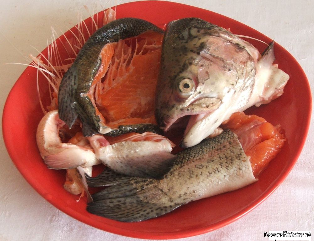 ciorba din pastrav somonat, filetat (1) Copy