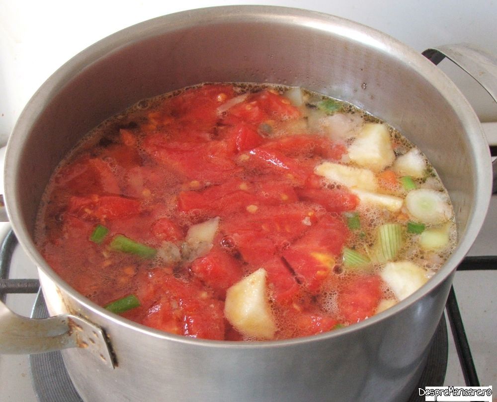 ciorba din pastrav somonat, filetat (2) Copy