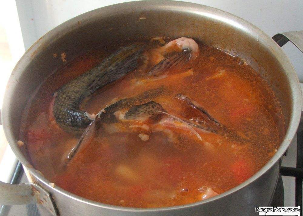 ciorba din pastrav somonat, filetat (3) Copy