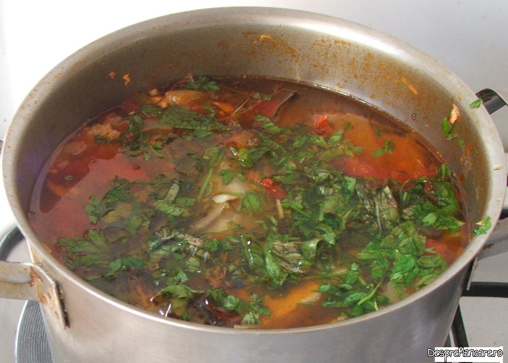 ciorba din pastrav somonat, filetat (4) Copy
