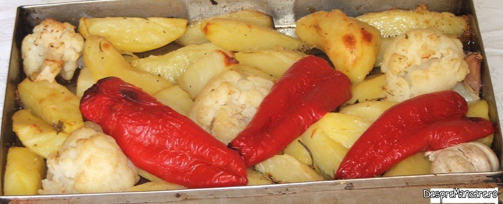 piept de gasca copt in tigaia de fonta cu cartofi la cuptor (14)