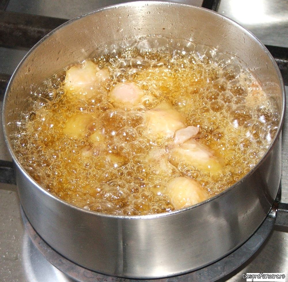 piept de gasca copt in tigaia de fonta cu cartofi la cuptor (5)