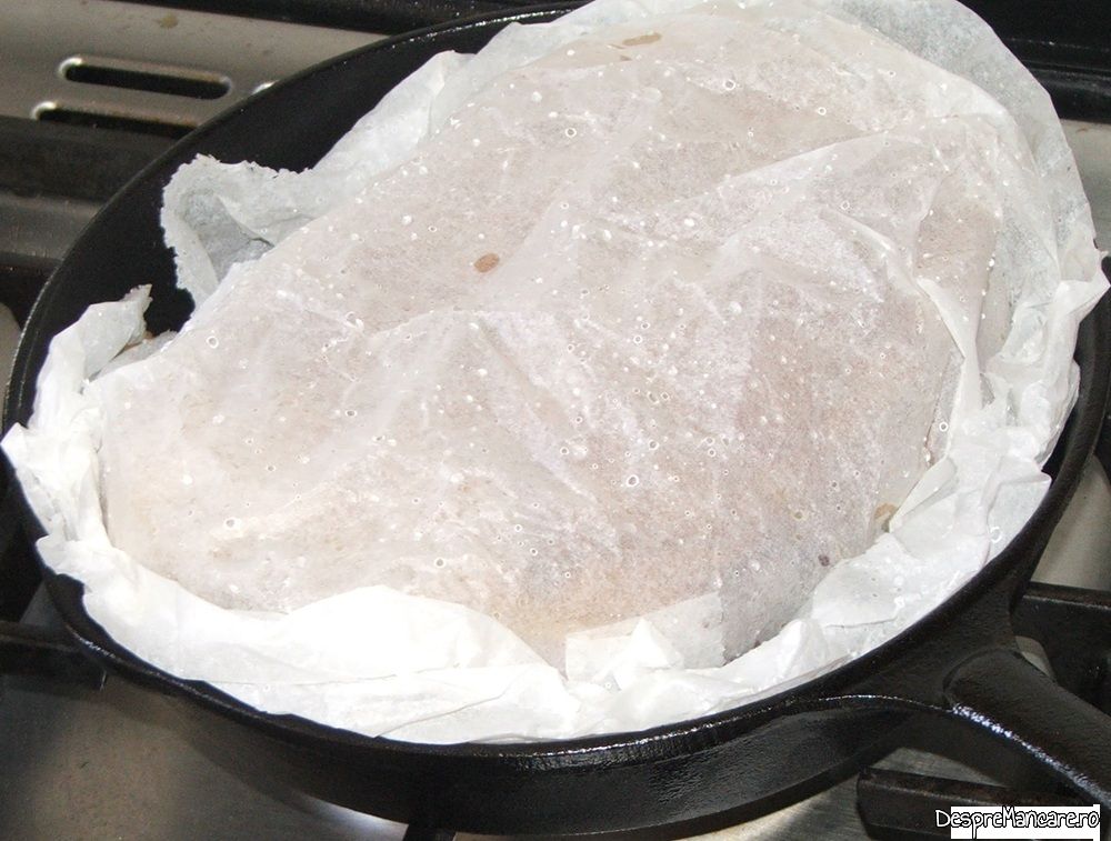 piept de gasca copt in tigaia de fonta cu cartofi la cuptor (6)