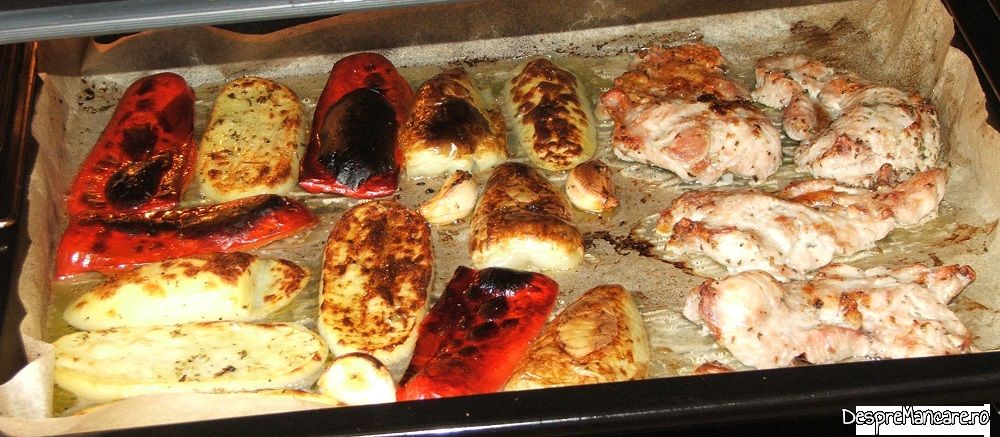 pizdulice de porc cu legume la gril ul cuptorului electric (4)