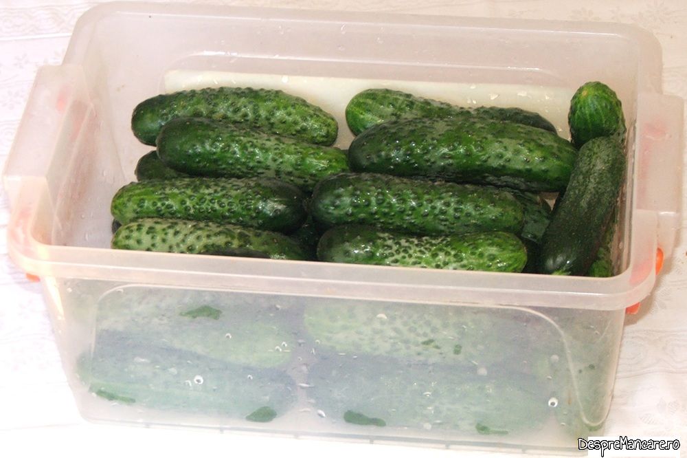 castraveti murati in saramura cum facea mama mea (1)