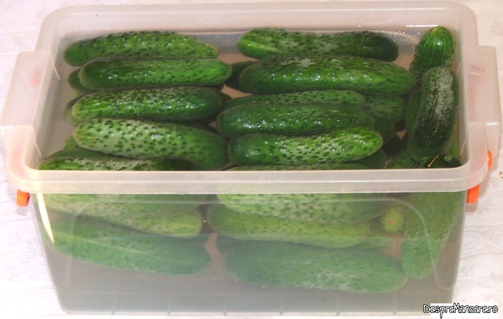 castraveti murati in saramura cum facea mama mea (3)