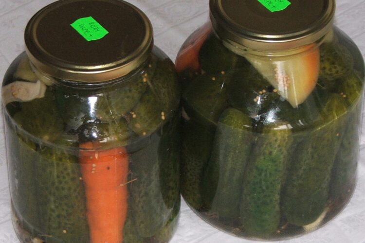 castraveti murati in saramura cum facea mama mea (6)
