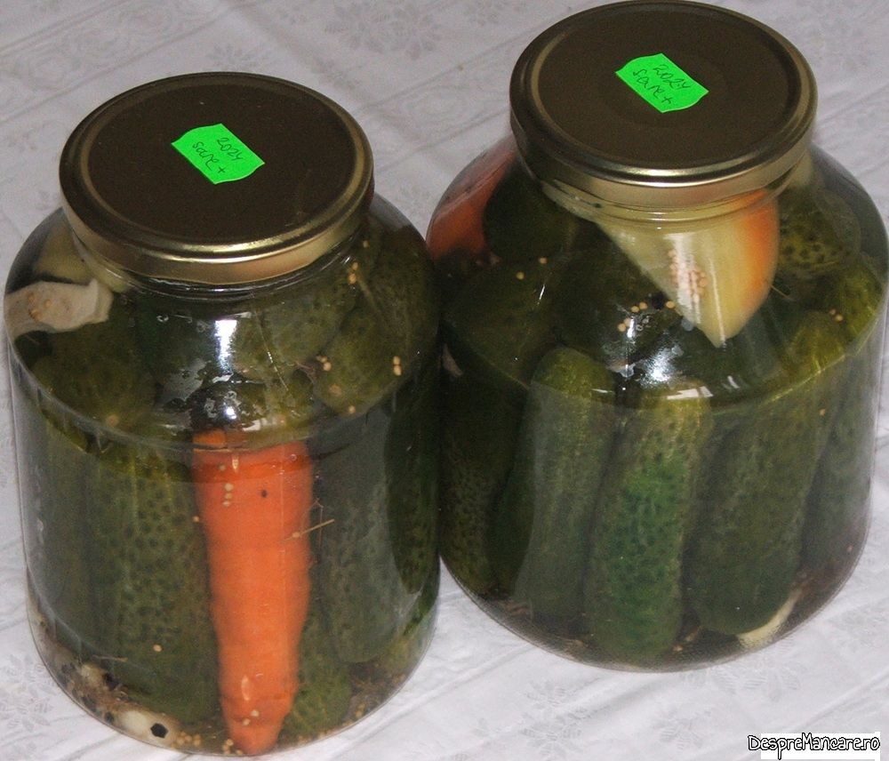 castraveti murati in saramura cum facea mama mea (6)