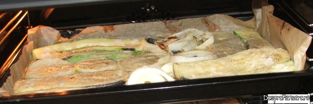 pulpe de pui cu legume, pane' uri in cuptorul electric al aragazului (11) Copy