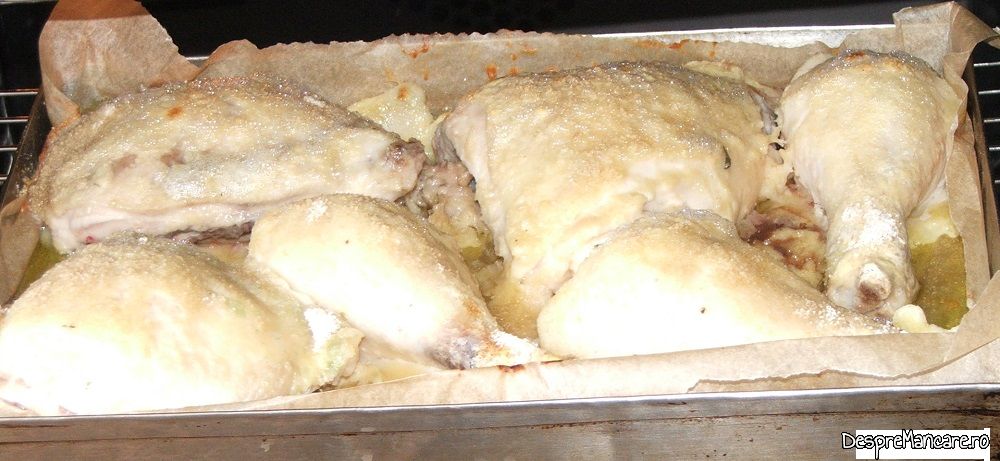 pulpe de pui cu legume, pane' uri in cuptorul electric al aragazului (13)