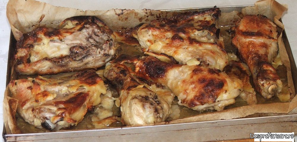 pulpe de pui cu legume, pane' uri in cuptorul electric al aragazului (15)