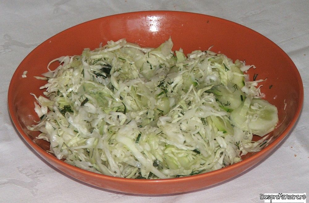 pulpe de pui cu legume, pane' uri in cuptorul electric al aragazului (5)