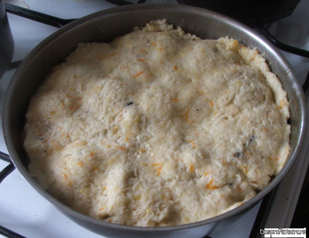 tarta cu fructe si frisca (12) Copy