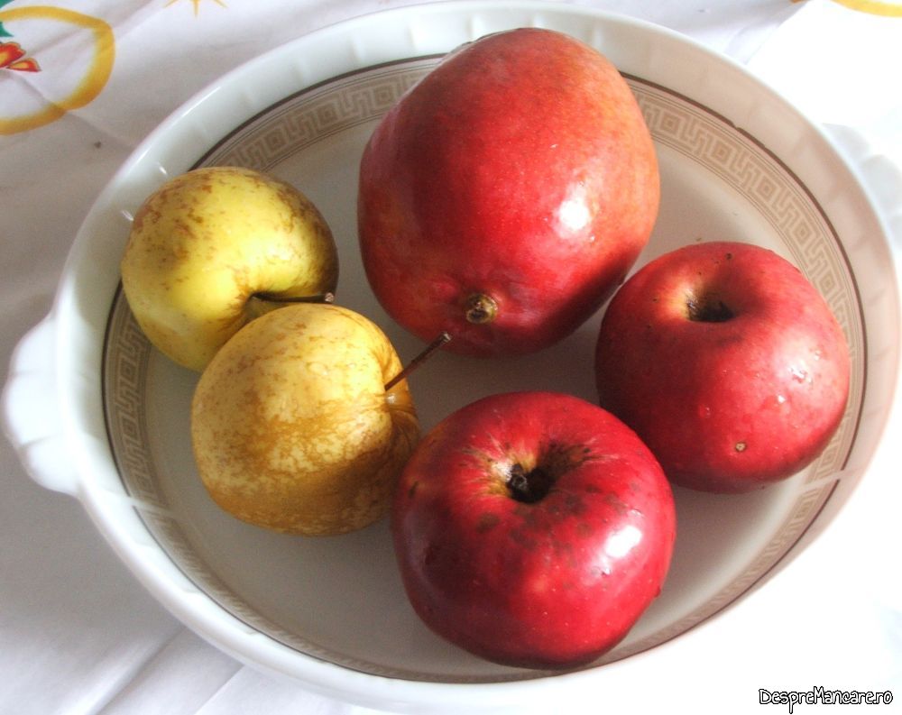 tarta cu fructe si frisca (2) Copy