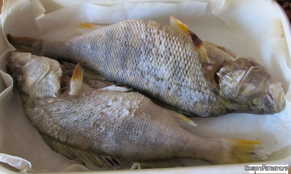 saramura de toamna cu biban copt (1)